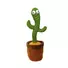 Kép 1/3 - Zenélő és táncoló kaktusz