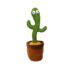 Kép 1/3 - Zenélő és táncoló kaktusz